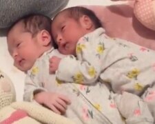 Tulące się bliźnięta zasypiają w uścisku. To wspaniały widok