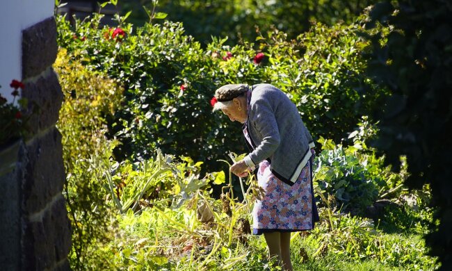 Sąsiadka, źródło: Pixabay