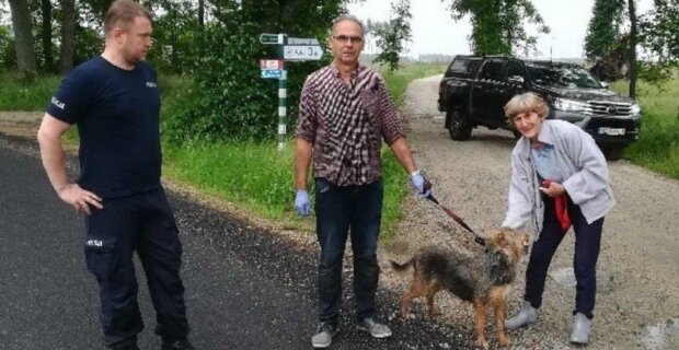 Odnaleziony 83-latek z psem. Źródło: pikio.pl