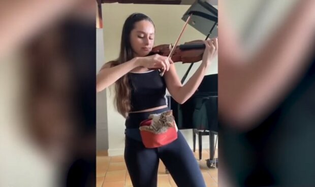 dziewczyna grającą na skrzypcach dla kotka, screen Youtube