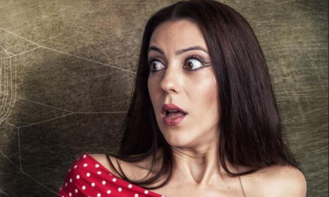 Nowy owad w polskich mieszkaniach. Wydziela bardzo nieprzyjemny zapach!