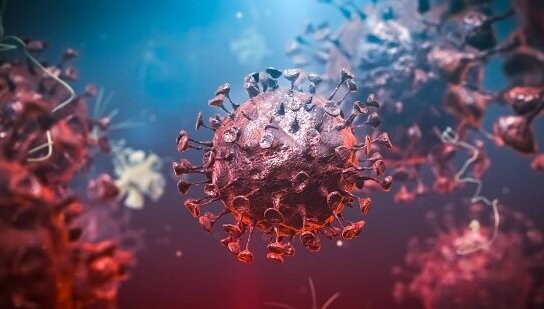 Koronawirus. Źródło: mp.pl