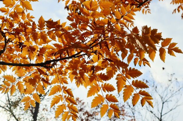 Zacznie się 30 października. Pogoda całkowicie się zmieni