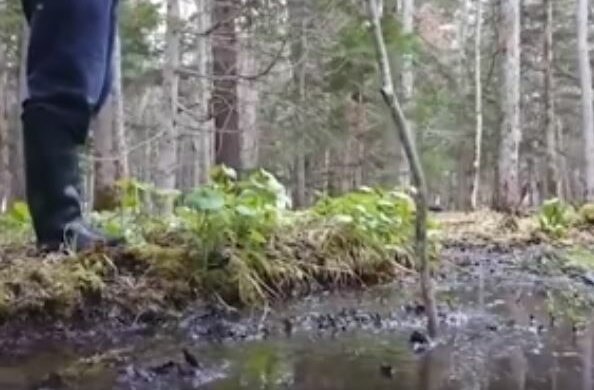 Mężczyzna nie mógł uwierzyć własnym oczom. Źródło: facebook.com