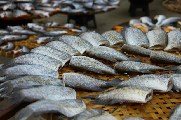 Ta ryba wraca do łask. Trudno o zdrowszy wybór w sklepie