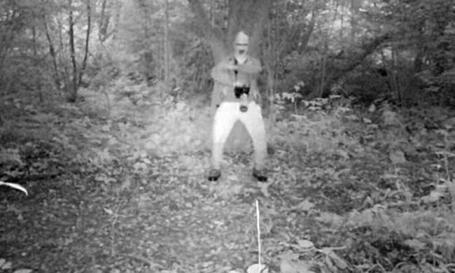 Nagranie trafiło do sieci!/screen Facebook @Nadleśnictwo Baligród