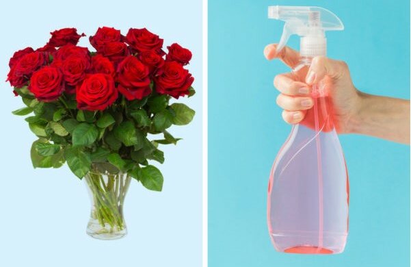 Dziwne i skuteczne sposoby na ożywienie kwiatów, o których wiedzą tylko kwiaciarnie