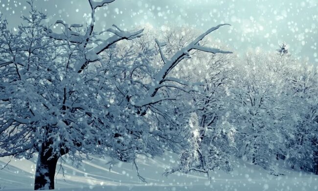 Zima/screen Pixabay