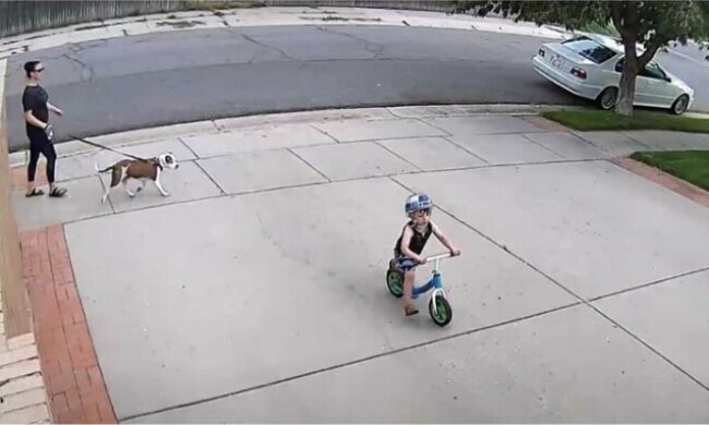 Reakcja mężczyzny na fakt, że czyjeś dziecko wciąż jeździ w pobliżu jego garażu, uderzyła w sieci społecznościowe