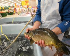 Coraz więcej sklepów rezygnuje ze sprzedaży żywych karpi. Są tylko dwie sieci, w których można znaleźć żywe ryby