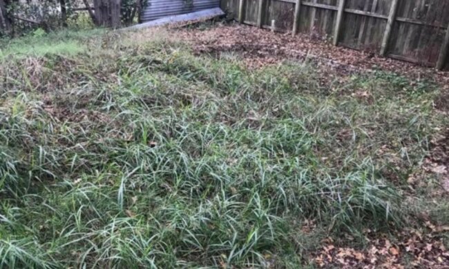 Mężczyzna kupił dom, screen Google