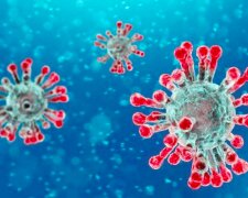 Czy koronawirus zniknie latem? / indiaaheadnews.com