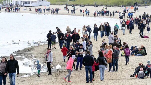 Plaża. Źródło: wp.pl