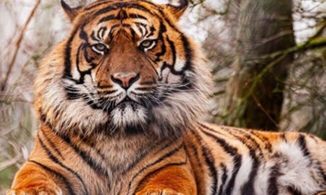 fot. youtube