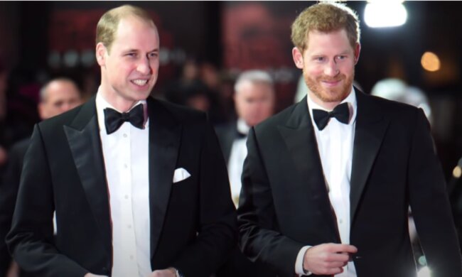 Książę William i książę Harry/YouTube @Dla Ciekawskich