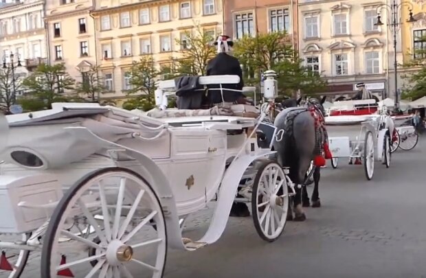 Kraków: podjęto decyzję w sprawie dorożek w centrum miasta. Co dokładnie zadecydował Urząd Miasta