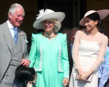 Książę Karol nie był zaskoczony decyzją? / abc7news.com