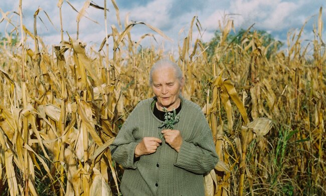Mama, źródło: Pexels