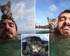 Kotek tak bardzo kocha swojego mistrza, że ​​nawet pływa z nim w oceanie