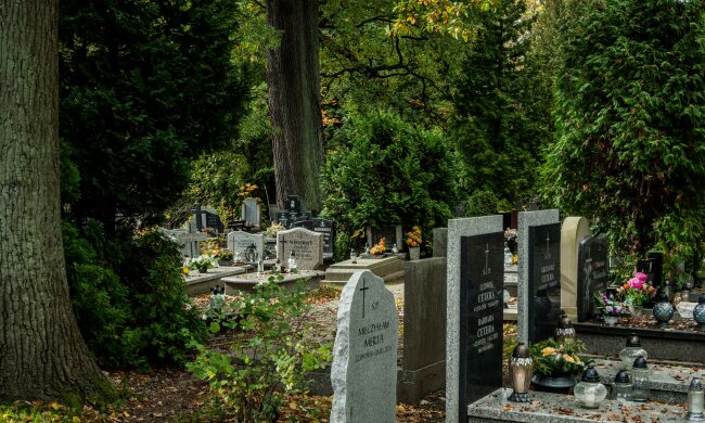 Nowa forma pochówku już w Polsce. W tym mieście otwarto pierwszy taki sektor