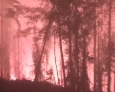 Pożar w Czechach/YouTube @Pasjonat Burz