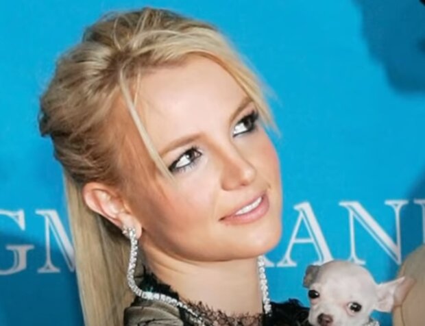 Britney Spears/YouTube @Dla Ciekawskich