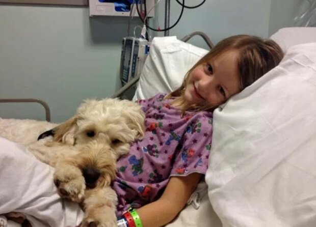 Ten cudowny pies już nieraz uratował jej życie. Jest prawdziwym bohaterem