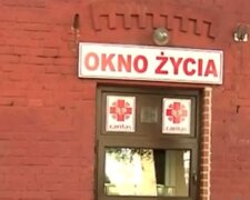 Okno życia/YouTube @TVP Info