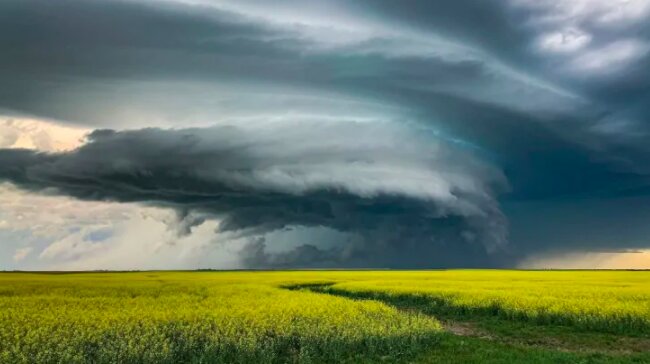 Dziś może być niebezpiecznie / i.cbc.ca