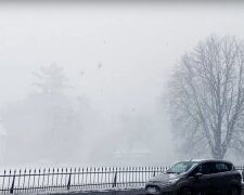 Zawieja śnieżna/YT @MeteoWielkopolska