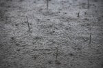 Ściana deszczu przeszła nad miastem. Ulice w kilka chwil zamieniły się w potoki