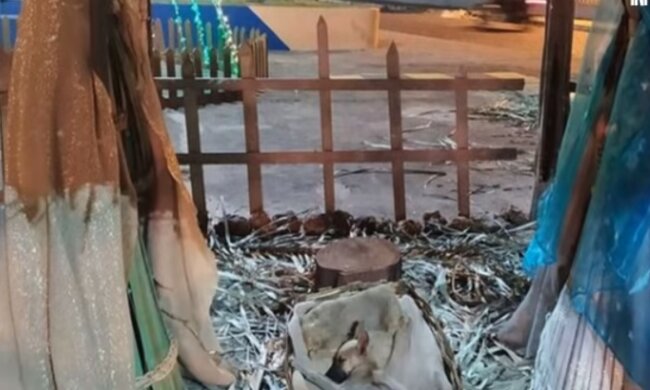 Boże Narodzenie, screen YT