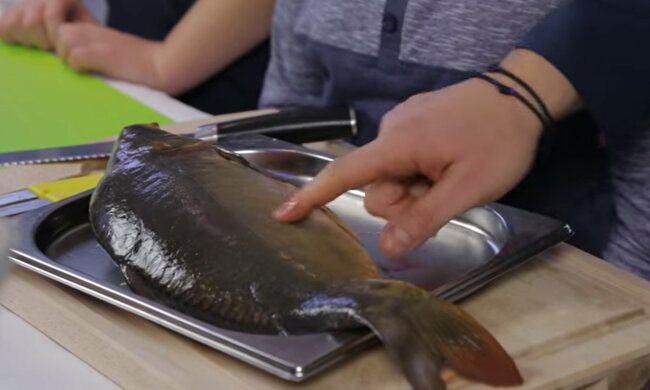 karp, screen Youtube @pomorskapl