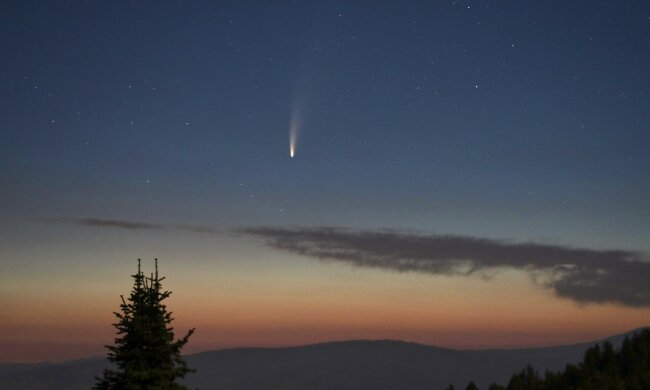 Kometa Neowise/screen Twitter @NASASolarSystem