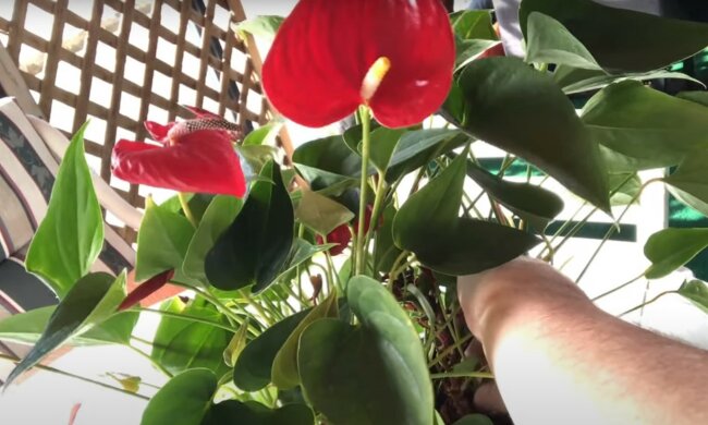 źródło: YouTube/DIY ROBIE TO SAM