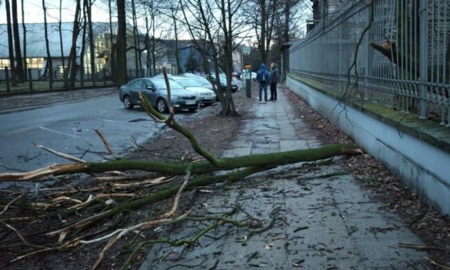 Pogoda wystawi na próbę akcję „Zostań w domu”. Co nas czeka w najbliższych dniach