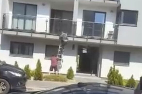 Plądrowali mieszkania w biały dzień. Zatrzymano jednego sprawcę, drugi wciąż jest na wolności