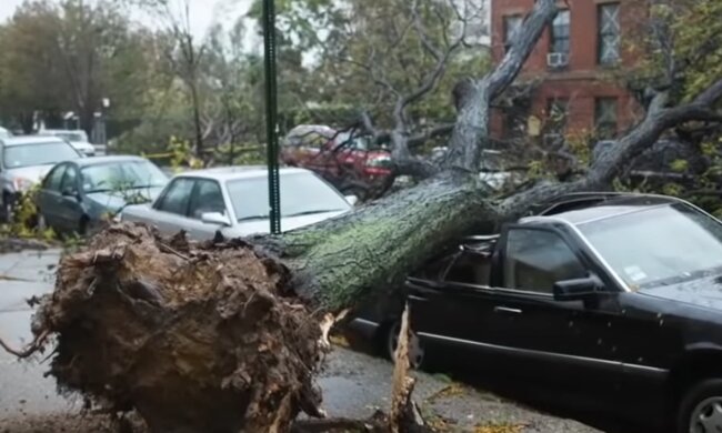 źródło: YouTube/WatchMojo.com