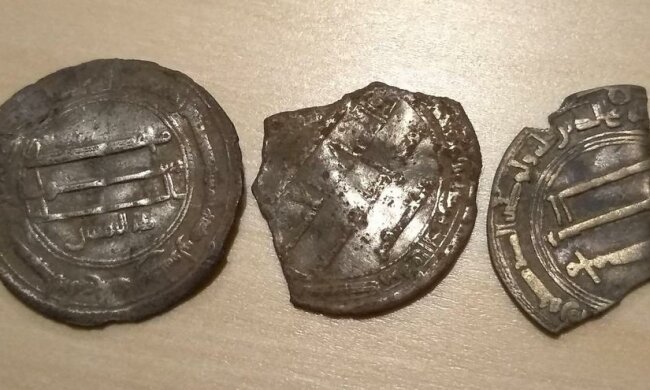 Poszedł na grzyby i znalazł skarb. Niesamowite znalezisko na pomorzu