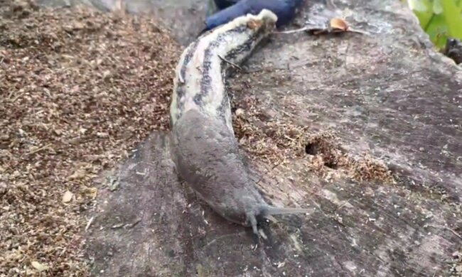 screen Youtube @Vlad ES 12