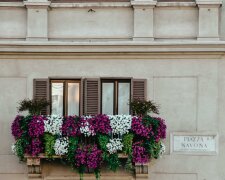 Zapomnij o petuniach. Ta roślina obsypuje balkon kwiatami aż do jesieni