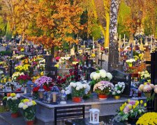 Cmentarz, chryzantemy/Pixabay