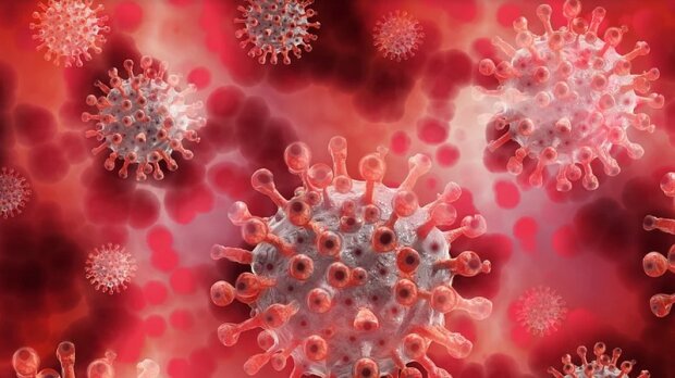 Małopolska: sanepid opublikował dane dotyczące zakażeń koronawirusem. W Krakowie sytuacja jest coraz gorsza
