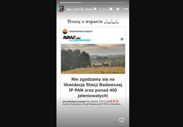 Realcja Agnieszki Woźniak-Starak/Instagram @aga_wozniak_starak
