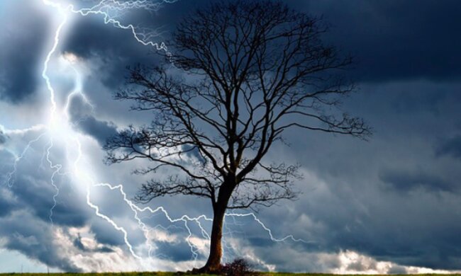 Jedna chwila zmieniła ich dotychczasowe życie / thetreecareguide.com