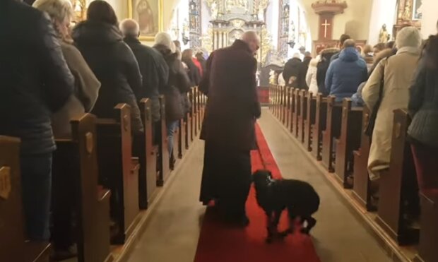 Ksiądz przyprowadził psa do kościoła, parafianie nie mogli w to uwierzyć. Co chciał osiągnąć duchowny