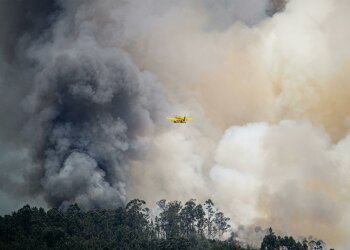 Pilne! Samolot gaśniczy rozbił się w Polsce. Służby potwierdzają jedną ofiarę