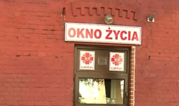 Okno życia/YouTube @TVP Info