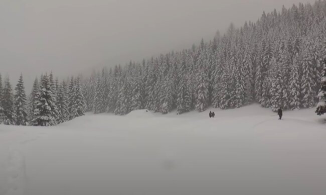 Jaka będzie tegoroczna zima? / YouTube: Tygodnik Podhalański