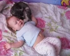 Kotka i niemowlę robią furorę w Internecie/screen YouTube